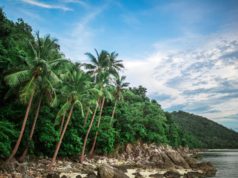 Thinking about getting a job in Koh Samui? Then You want to read our guide before