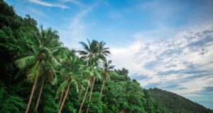 Thinking about getting a job in Koh Samui? Then You want to read our guide before